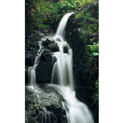 Poster de jardim Cascade